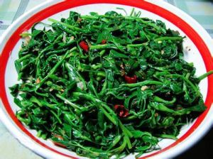 涼拌苜蓿 涼拌苜蓿