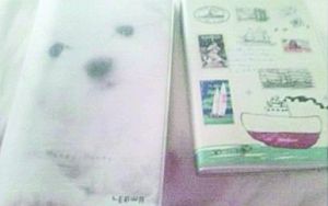 手繪戀愛紀念冊 手繪戀愛紀念冊