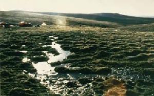 黃河流域規劃 黃河流域規劃