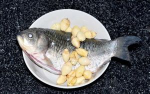 白果鯽魚 白果鯽魚