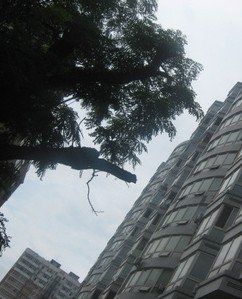 貴友大廈 貴友大廈