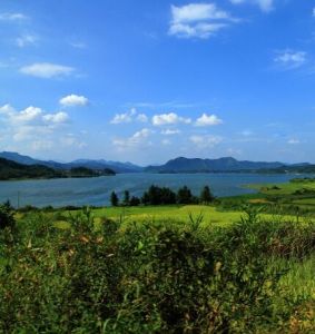 太平湖國家濕地公園 太平湖國家濕地公園