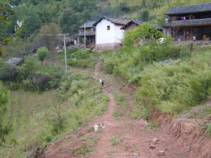 新安邑村 新安邑村