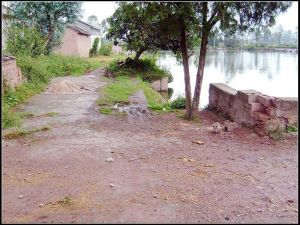 董和大荒地村 董和大荒地村