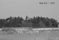 成武文化遺址 成武文化遺址