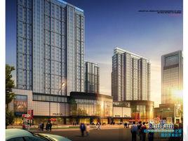 城市之星 城市之星