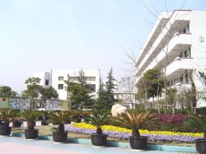 上海市莘光學校 上海市莘光學校