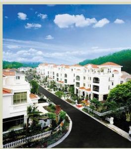 碧桂園控股有限公司