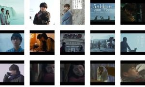 假如貓從世界上消失了