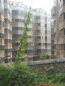 金穗山莊 金穗山莊