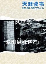 風塵記[天涯文學小說]