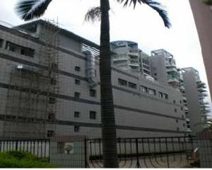 橄欖綠洲家園 橄欖綠洲家園