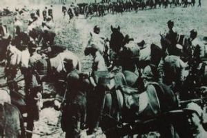 山東兵團 山東兵團