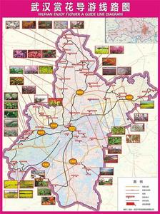 武漢賞花地圖