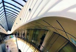 沙特國王大學 沙特國王大學