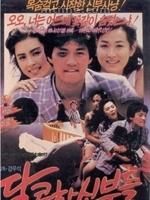 《新娘甜蜜蜜》 《新娘甜蜜蜜》