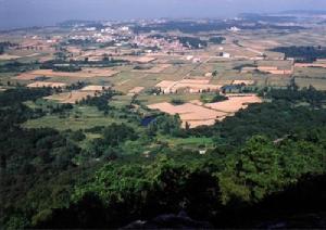 金門縣[福建省泉州市轄縣]