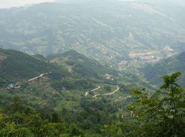 大有村[雲南鳳慶縣鳳山鎮下轄村]
