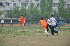 體育社團 體育社團