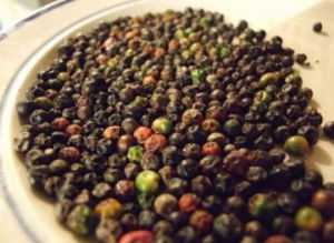 黑胡椒精油 黑胡椒精油