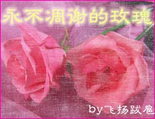 《永不調謝的玫瑰》