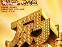 國壽鴻盈兩全保險 國壽鴻盈兩全保險