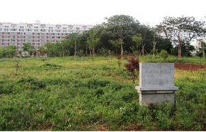 仙鶴觀六朝墓地 仙鶴觀六朝墓地