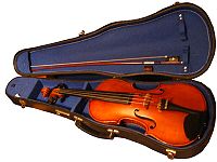 （圖）小提琴