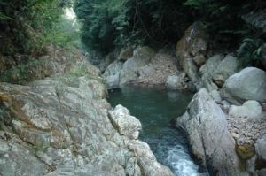 岑洞尋寶探險 岑洞尋寶探險