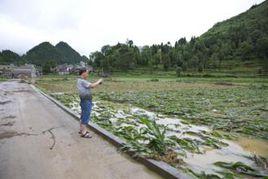 閔家場村 閔家場村