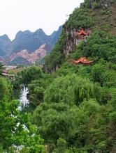中生代植物公園 中生代植物公園