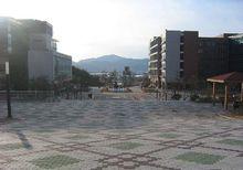 釜山大學