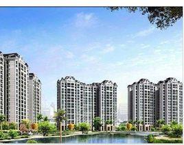 金海岸花園 金海岸花園