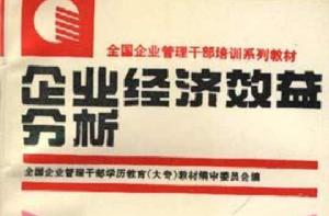 企業經濟效益分析 企業經濟效益分析