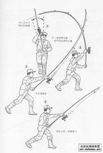（圖）拋竿釣魚方法