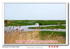 (圖)撓力河國家級自然保護區