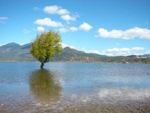 雲南拉什海濕地