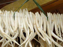 蒼溪川明參 蒼溪川明參