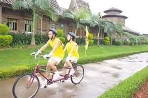 雙人腳踏車 雙人腳踏車