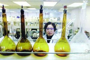 極端微生物 極端微生物