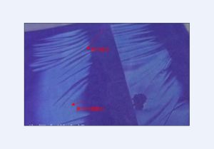 牛仔雷射工藝 牛仔雷射工藝