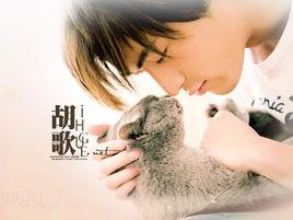 天地梅花開 天地梅花開