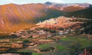 阿拉學村 阿拉學村