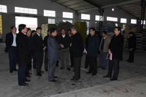 臨沂梅開置業有限公司