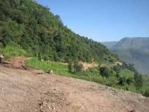 先鋒鄉[吉林榆樹市先鋒鄉]