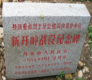 新開嶺戰役 新開嶺戰役