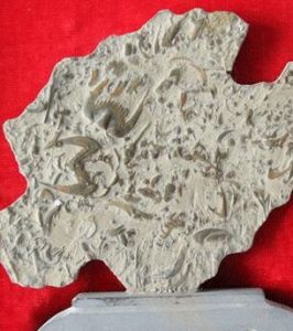 燕子石製品 燕子石製品