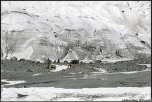 戶外電影《西北望》劇照