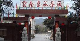 雲南景谷茶廠 雲南景谷茶廠