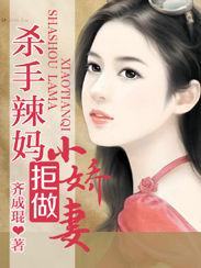 殺手辣媽:拒做小嬌妻 殺手辣媽:拒做小嬌妻